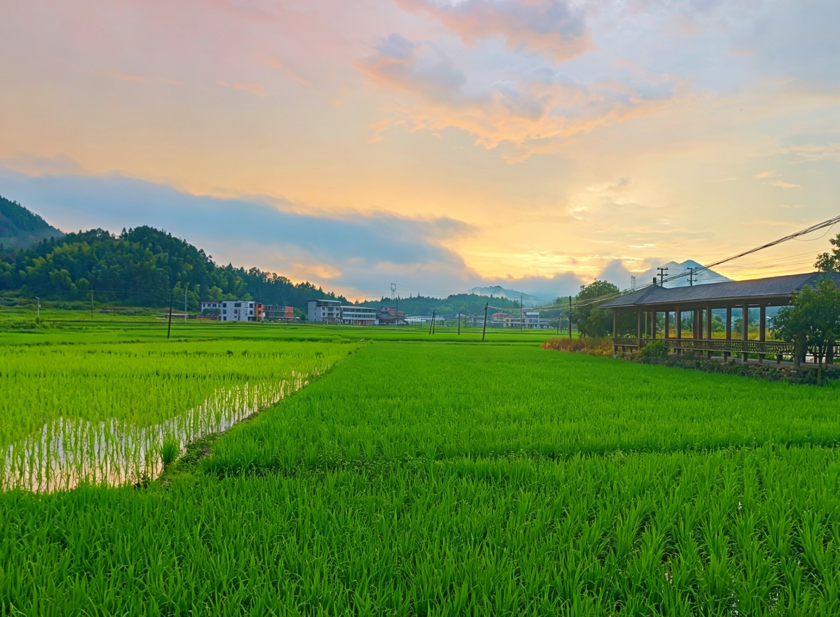 雨后永泰同安镇，山青霞染，田园风光治愈人心(图6)