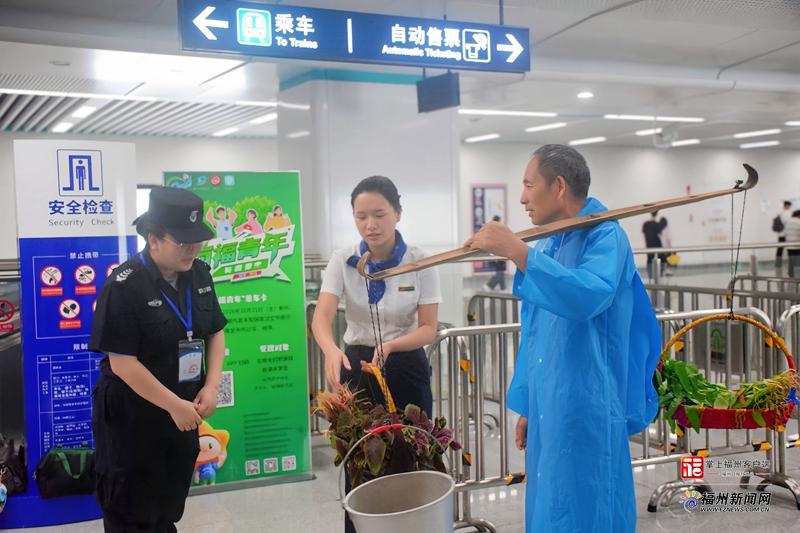 福州地铁滨海快线助菜农打通农产品进城‘最后一公里’(图3)