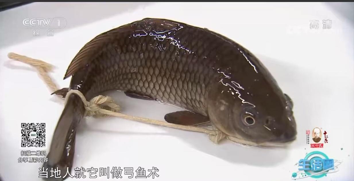 活鱼长途运输不折腾，无水休眠技术让鱼睡一觉到货(图2)