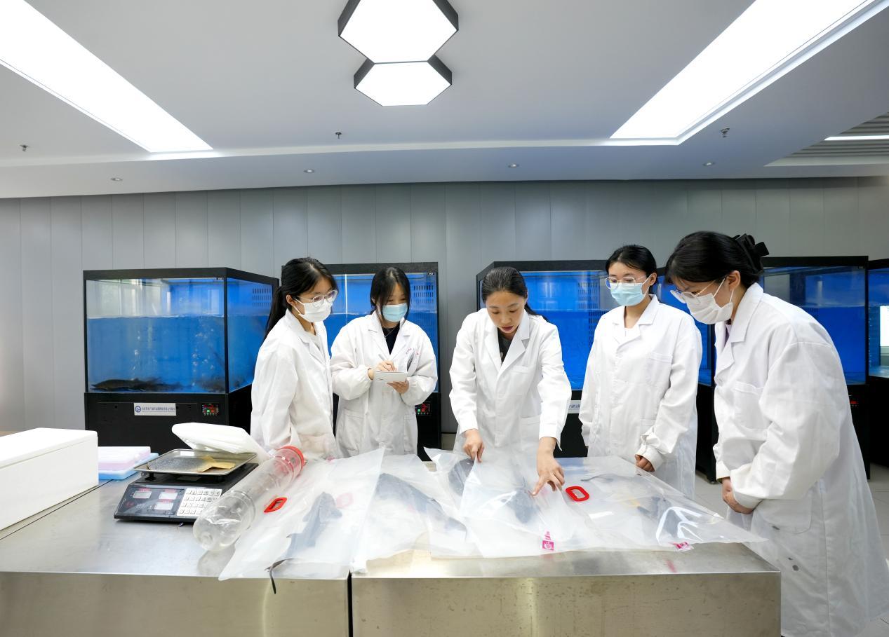 活鱼长途运输不折腾，无水休眠技术让鱼睡一觉到货(图3)