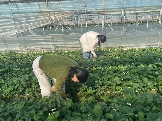 科技小院：把论文写在大地上，让农民笑开颜(图2)