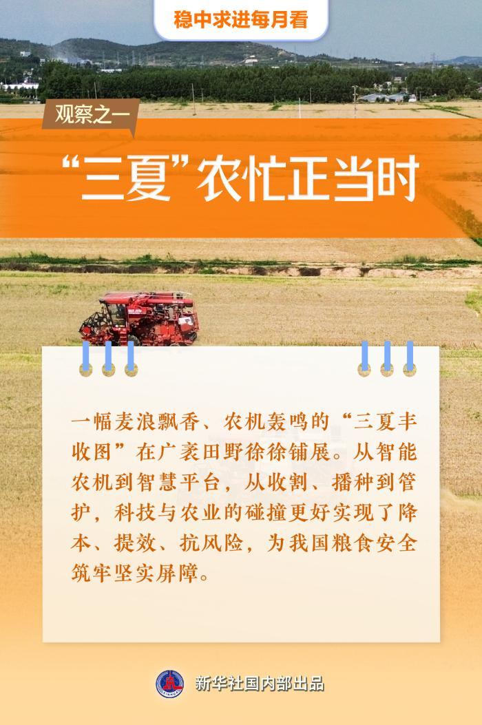上半年经济亮点多，夏收夏播信心足(图2)
