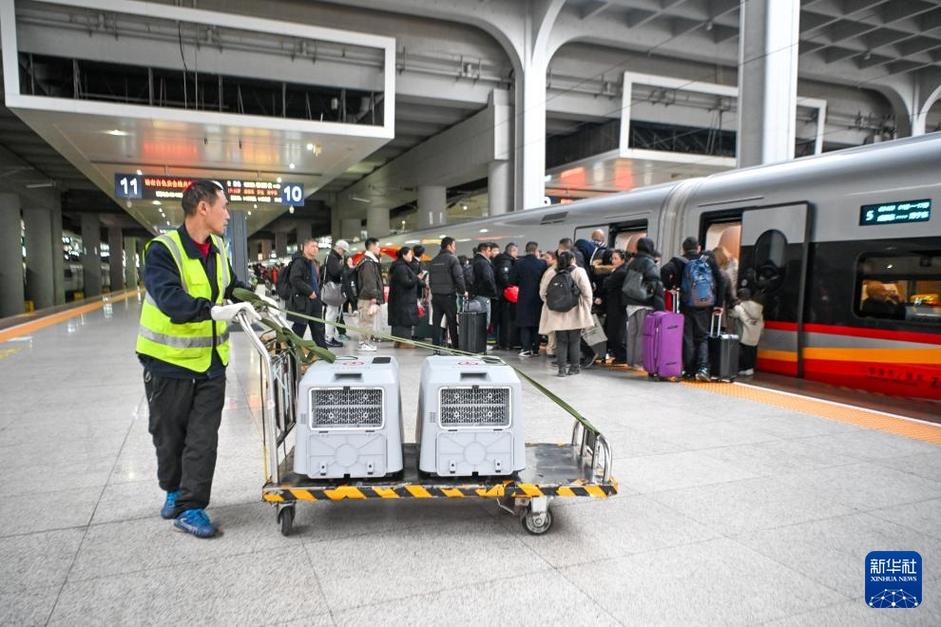 高铁宠物托运新增32站92趟车,12306可预约(图2) 高铁宠物托运新增32站92趟车,12306可预约(图2)