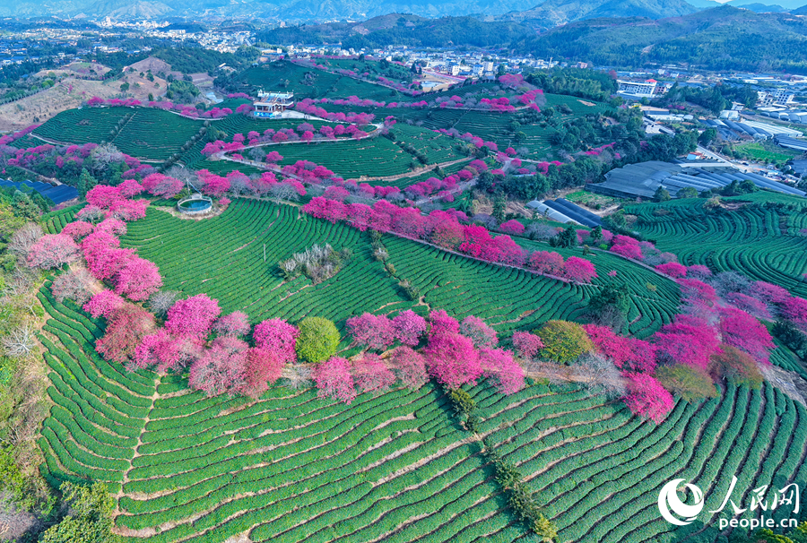 两项国标出自闽西小镇,山区如何炼成行业标杆?(图2) 两项国标出自闽西小镇,山区如何炼成行业标杆?(图2)