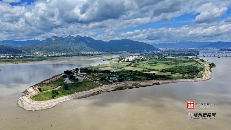 福州龙祥岛百亩黄瓜即将上市,从渣土堆变良田的故事(图2) 福州龙祥岛百亩黄瓜即将上市,从渣土堆变良田的故事(图2)