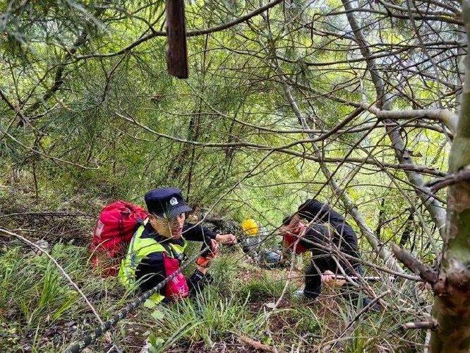 男子采药坠崖被困深山，民警连夜搜救脱险(图2)