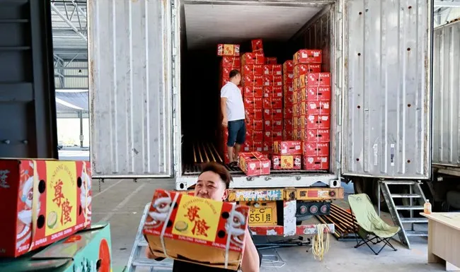 水果批发旺季!连江物流园日均千吨鲜果热销,采购商必看(图2) 水果批发旺季!连江物流园日均千吨鲜果热销,采购商必看(图2)