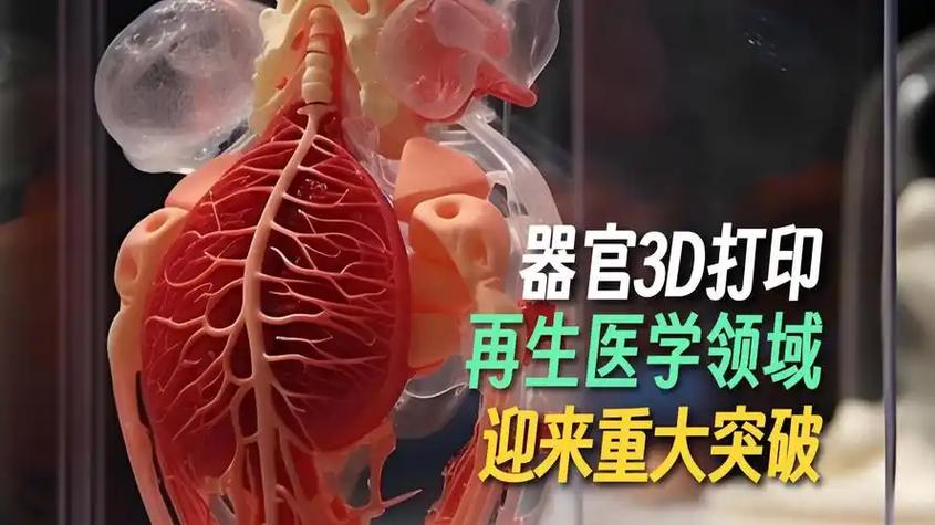 器官移植供体短缺有望缓解,我国组织器官生物制造技术领跑全球(图2) 器官移植供体短缺有望缓解,我国组织器官生物制造技术领跑全球(图2)