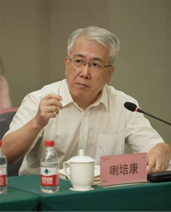 无悔英雄剧本研讨会：揭秘隐蔽战线英烈，打造红色精品电影(图5)