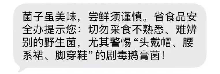 雨后蘑菇别乱采!北京超130种毒蘑菇,长相普通却能致命(图8) 雨后蘑菇别乱采!北京超130种毒蘑菇,长相普通却能致命(图8)