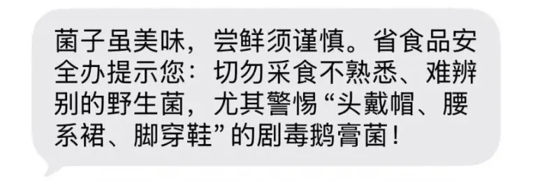 雨后蘑菇别乱采!北京超130种毒蘑菇,长相普通却能致命(图8) 雨后蘑菇别乱采!北京超130种毒蘑菇,长相普通却能致命(图8)