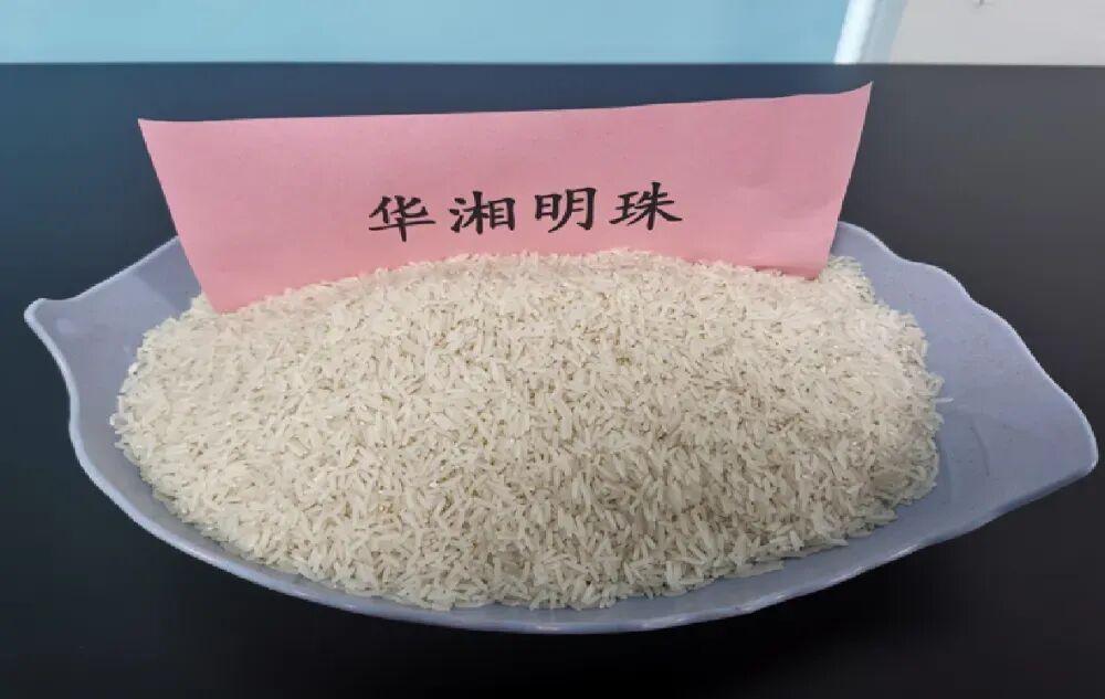 水稻新品种谁需要?农民想种、消费者爱吃、产业自主(图3) 水稻新品种谁需要?农民想种、消费者爱吃、产业自主(图3)