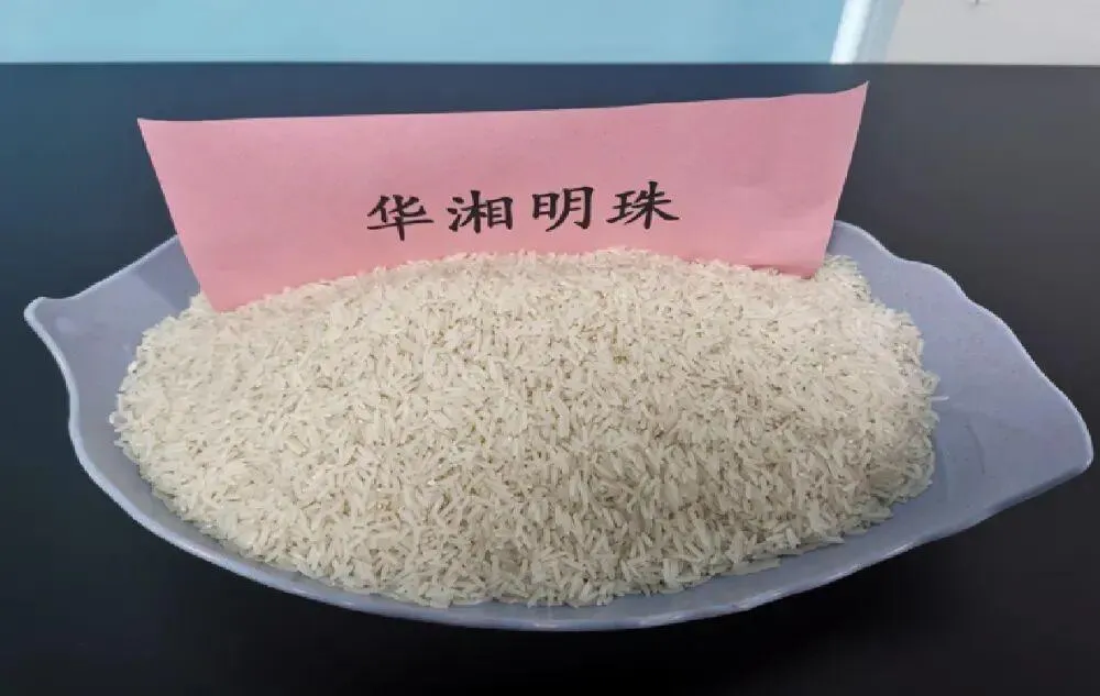 水稻新品种谁需要?农民想种、消费者爱吃、产业自主(图3) 水稻新品种谁需要?农民想种、消费者爱吃、产业自主(图3)