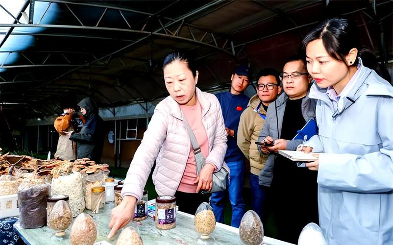 闽宁协作30年:从干沙滩到金沙滩的蜕变故事(图1) 闽宁协作30年:从干沙滩到金沙滩的蜕变故事(图1)