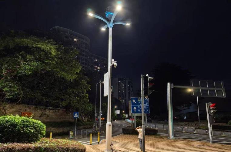 福州4392盏智慧路灯上岗，坏了自动报警，夜间出行更安全(图2)