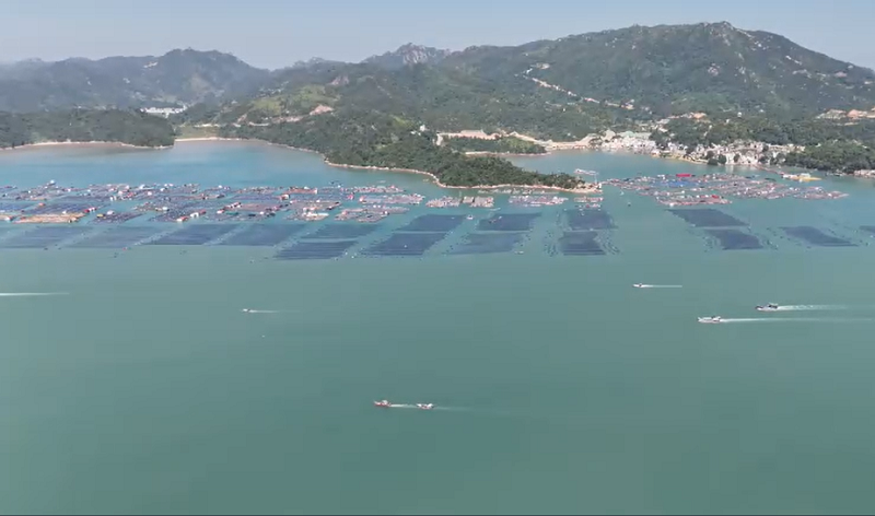 台风巴威来袭!福建沿海客渡停航、项目停工,出行注意安全(图3) 台风巴威来袭!福建沿海客渡停航、项目停工,出行注意安全(图3)
