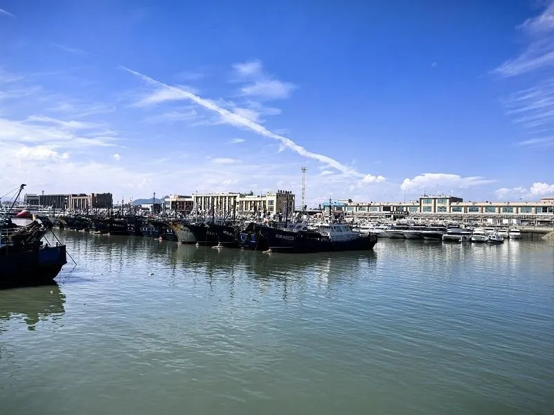 台风巴威来袭!福建沿海客渡停航、项目停工,出行注意安全(图4) 台风巴威来袭!福建沿海客渡停航、项目停工,出行注意安全(图4)