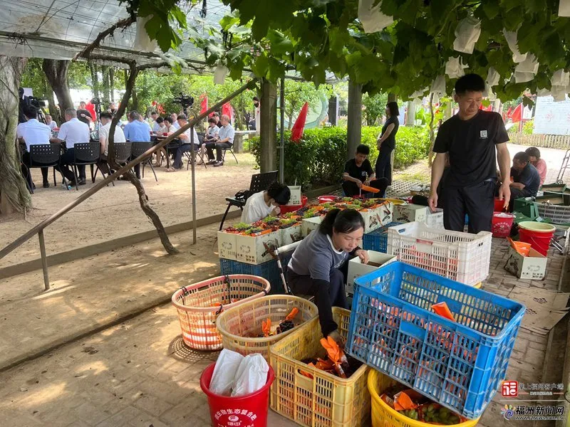 乡村振兴专题询问会开进葡萄园,农民最关心啥?(图4) 乡村振兴专题询问会开进葡萄园,农民最关心啥?(图4)