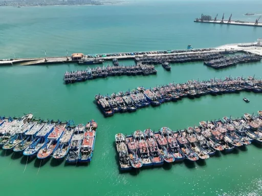 台风巴威逼近闽浙 福建客运航线停航(图3)