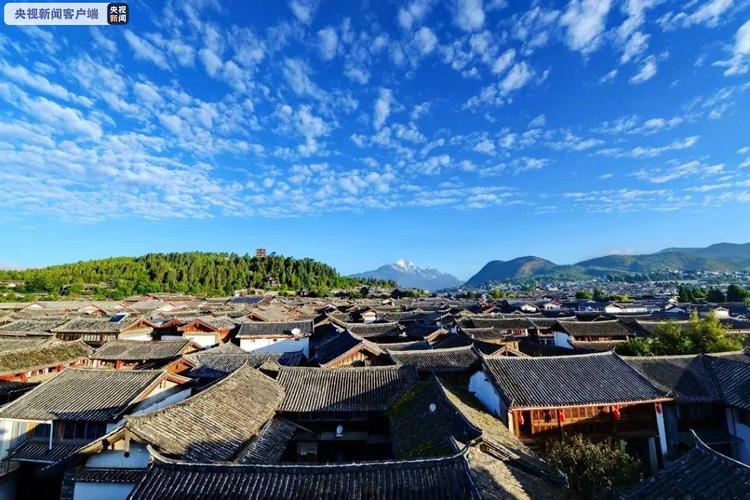 旅游强迫购物整治见效，2026上半年立案增49%