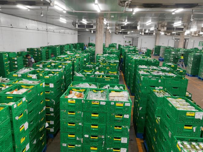 台风期间福州物资充足:蔬菜2600吨、猪肉超3600吨,市民放心(图2) 台风期间福州物资充足:蔬菜2600吨、猪肉超3600吨,市民放心(图2)