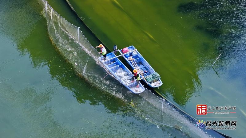 台风逼近！福州西湖紧急降低水位，为水下森林筑起防风墙(图3)