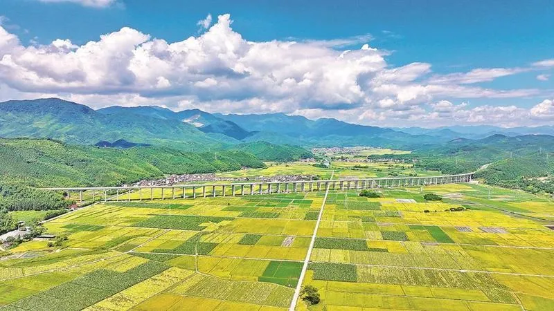 2023年起邵武乡村振兴新路径:片区协同、农文旅融合与人才赋能(图1) 2023年起邵武乡村振兴新路径:片区协同、农文旅融合与人才赋能(图1)