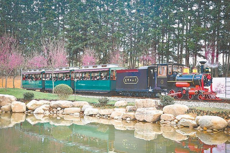 2023年起邵武乡村振兴新路径:片区协同、农文旅融合与人才赋能(图2) 2023年起邵武乡村振兴新路径:片区协同、农文旅融合与人才赋能(图2)