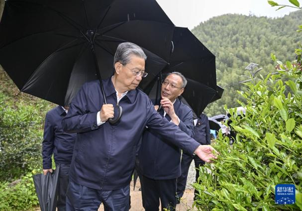省长调研福州开发区,推动高质量发展与安全生产