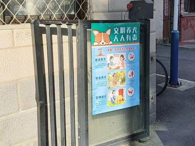 福州养狗新规：网上办证秒批，投诉降42%，不文明养犬严查