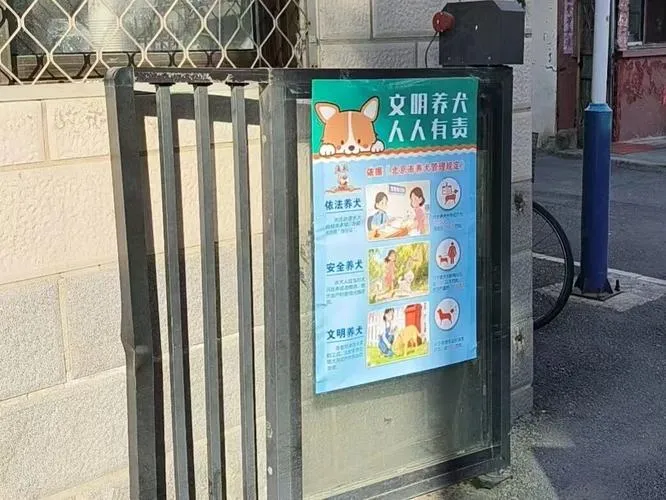 福州养狗新规:网上办证秒批,投诉降42%,不文明养犬严查(图1) 福州养狗新规:网上办证秒批,投诉降42%,不文明养犬严查(图1)