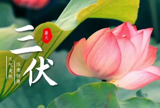 三伏天来了!今年长达40天,福建高温闷热注意防暑(图2) 三伏天来了!今年长达40天,福建高温闷热注意防暑(图2)