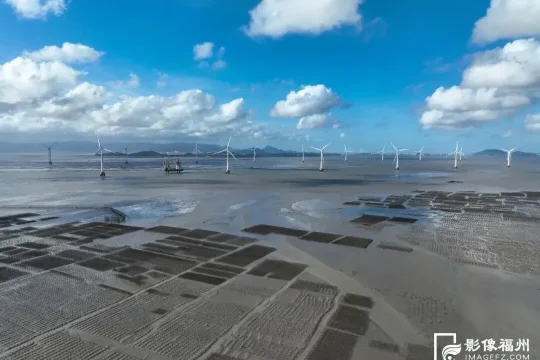 福州福清三山镇启幕赶海季:千年石沪文化焕新登场(图2) 福州福清三山镇启幕赶海季:千年石沪文化焕新登场(图2)