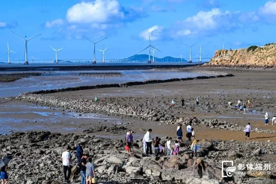 福州福清三山镇启幕赶海季:千年石沪文化焕新登场(图6) 福州福清三山镇启幕赶海季:千年石沪文化焕新登场(图6)