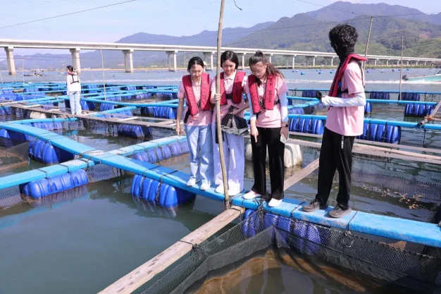 福州学子赴闽东闽西一线:科技赋能渔村转型,林下养蜂激活乡村新引擎(图1) 福州学子赴闽东闽西一线:科技赋能渔村转型,林下养蜂激活乡村新引擎(图1)