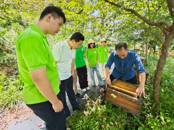 福州学子赴闽东闽西一线:科技赋能渔村转型,林下养蜂激活乡村新引擎(图3) 福州学子赴闽东闽西一线:科技赋能渔村转型,林下养蜂激活乡村新引擎(图3)