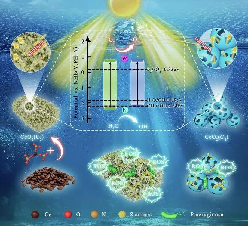 福州航运业直面挑战:船体生物附着致油耗飙升86%,绿色防污技术成破局关键(图3) 福州航运业直面挑战:船体生物附着致油耗飙升86%,绿色防污技术成破局关键(图3)