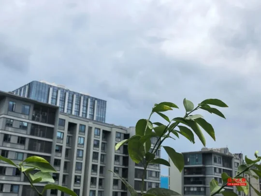 福州发布雷电黄色预警：未来6小时将迎强对流，晋安仓山等城区需重点防范(图4)