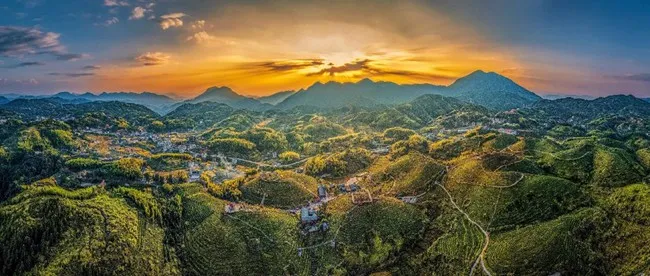福州大田海峡茶会(图6) 福州大田海峡茶会(图6)