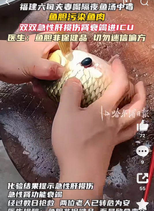 鱼汤变毒汤！鱼胆破了比砒霜还毒，千万别隔夜喝(图2)