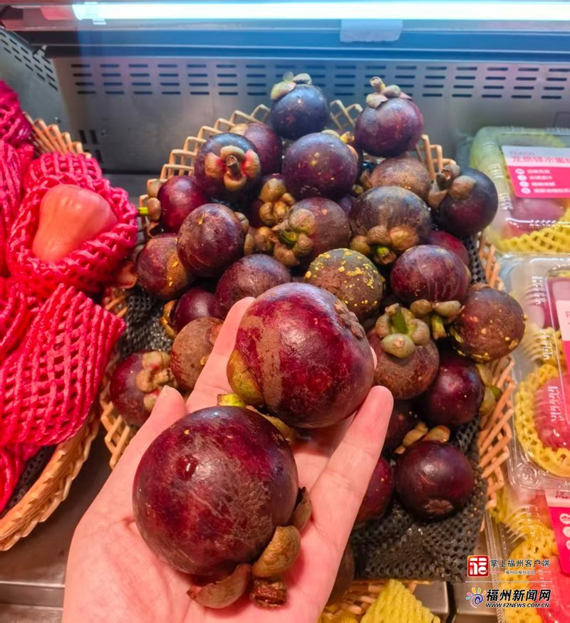 国产水果逆袭!价格亲民品种多,福州人不再追捧进口货(图11) 国产水果逆袭!价格亲民品种多,福州人不再追捧进口货(图11)