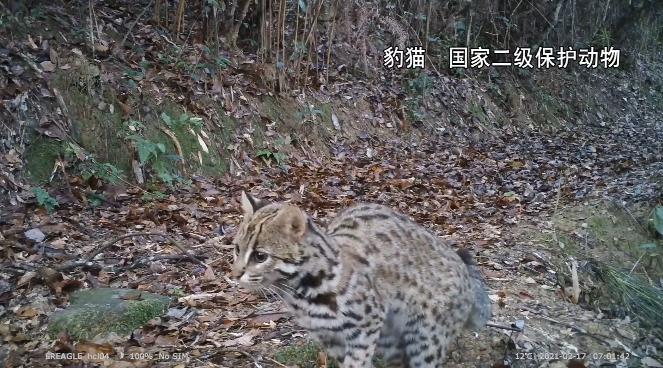 闽江第一道滤芯怎么守?福州人的水源保护区揭秘(图9) 闽江第一道滤芯怎么守?福州人的水源保护区揭秘(图9)
