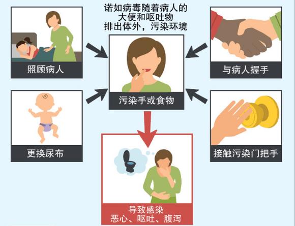 夏季高发传染病预防指南:登革热、诺如病毒等防控要点(图2) 夏季高发传染病预防指南:登革热、诺如病毒等防控要点(图2)