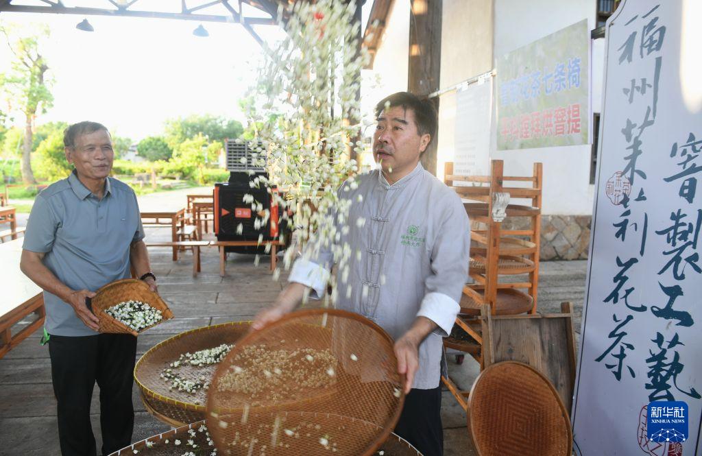 福州茉莉花茶非遗工坊开放体验,茶旅融合新玩法(图4) 福州茉莉花茶非遗工坊开放体验,茶旅融合新玩法(图4)