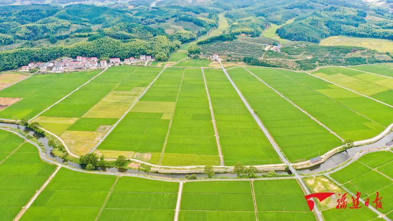 建宁制种经纪人:全国独有,16万亩撬动70万亩的农业密码(图3) 建宁制种经纪人:全国独有,16万亩撬动70万亩的农业密码(图3)