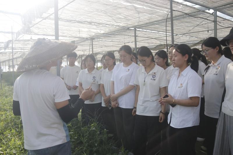 福州高校学子赴闽西闽东开展暑期实践：AI义诊、茶链调研与生态修复齐发力(图2)