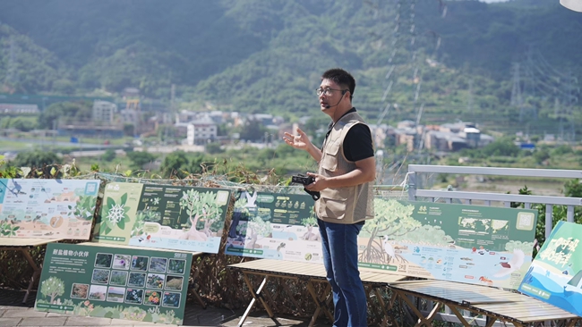 红树林保护行动：了解生态价值，参与滨海湿地修复(图1)
