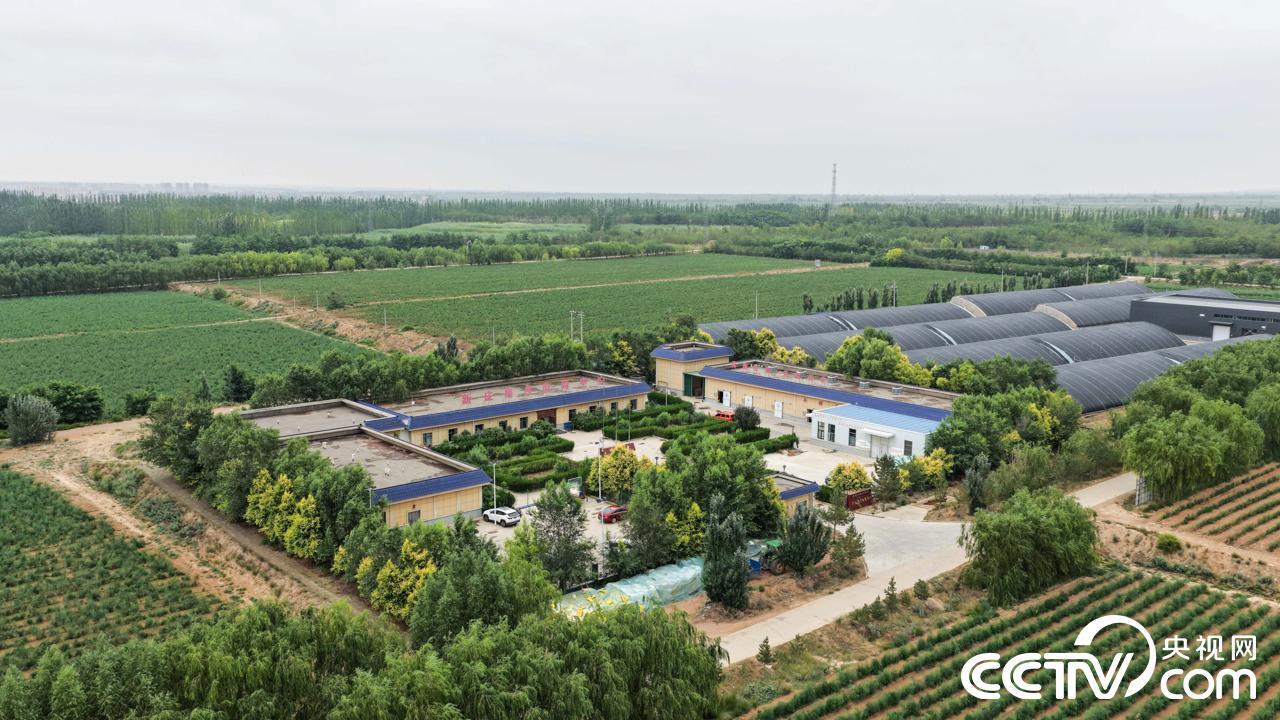 农行跨省协同助力闽宁协作 金融力量推动双向奔赴(图2) 农行跨省协同助力闽宁协作 金融力量推动双向奔赴(图2)