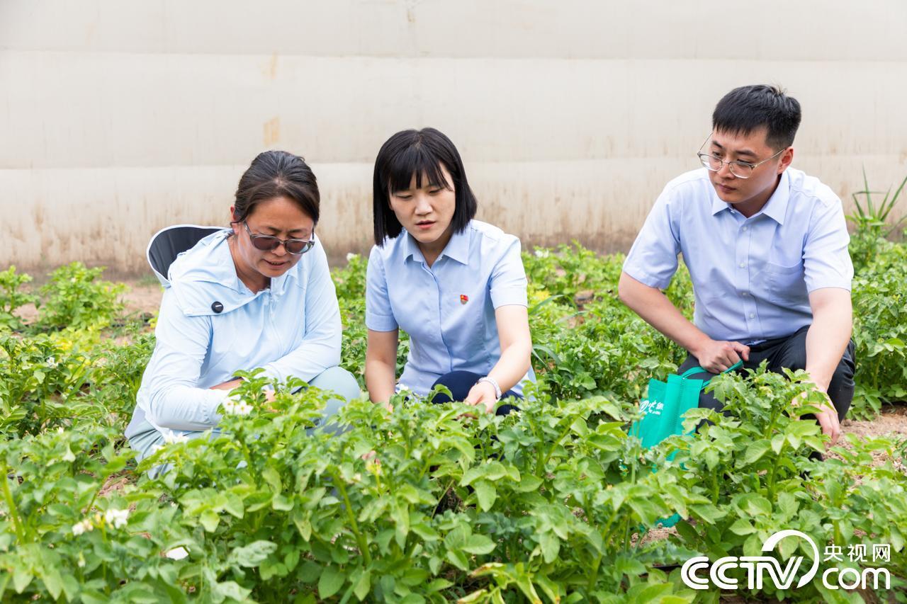 农行跨省协同助力闽宁协作 金融力量推动双向奔赴(图7) 农行跨省协同助力闽宁协作 金融力量推动双向奔赴(图7)
