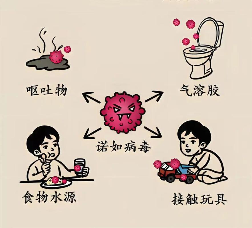 福州春季健康预警:诺如病毒等多类传染病进入高发期(图2) 福州春季健康预警:诺如病毒等多类传染病进入高发期(图2)
